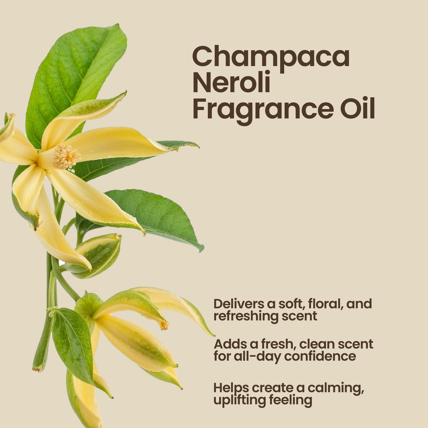 Non-toxic Natural Deodorant
