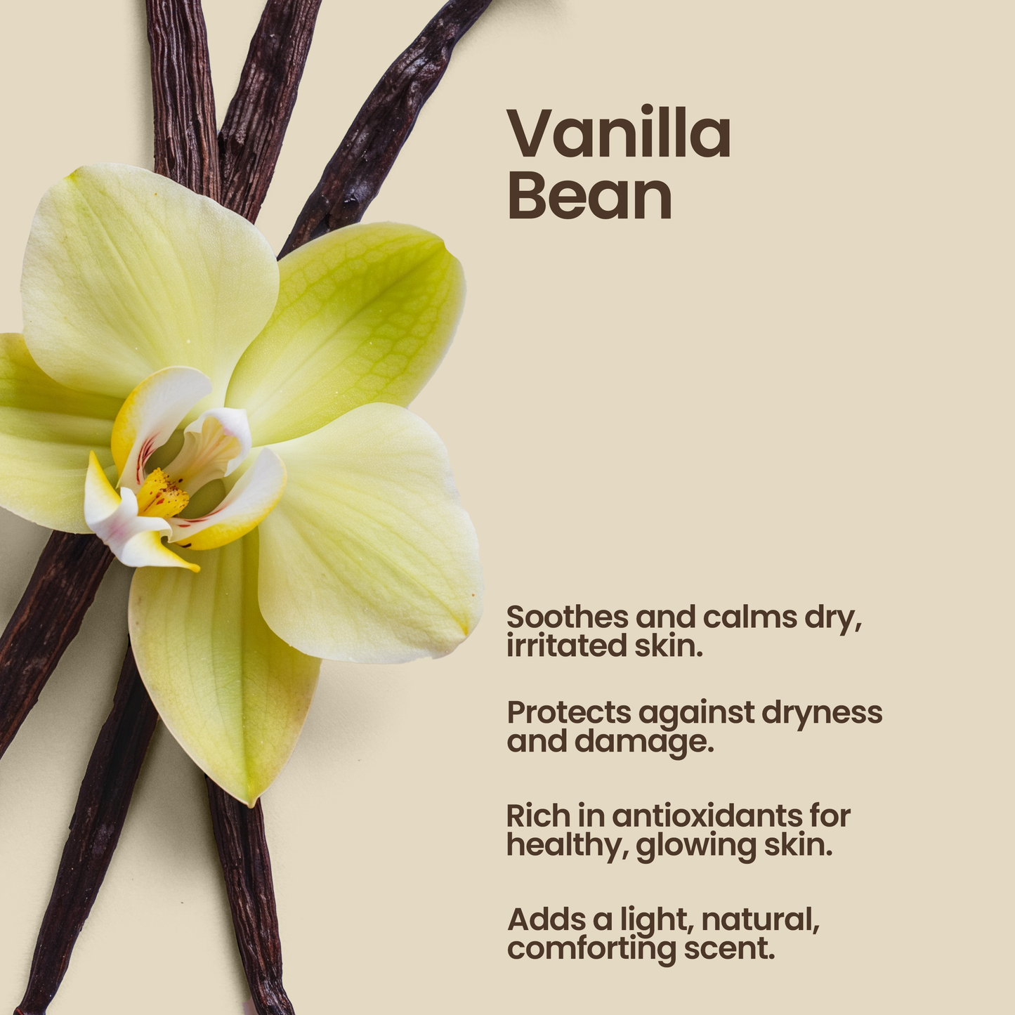 Whipped Grass-Fed Tallow Balm with Vanilla Bean